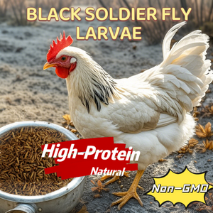 20LB Dried Black Soldier Fly Larvae