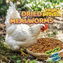 Load image into Gallery viewer, 10LB Dried Mealworms
