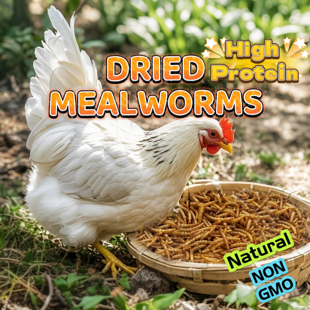 20LB Dried Mealworms