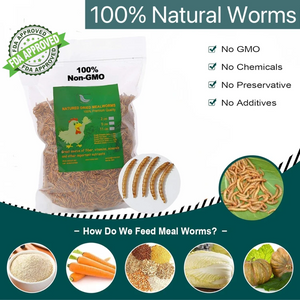 20LB Dried Mealworms